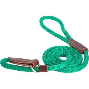 Slip Lead for Dogs